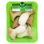 Eringi Mushroom Business selected 230g