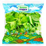 Spinach Green Garden 100g