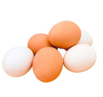 Table chicken egg C1/C2 1pc