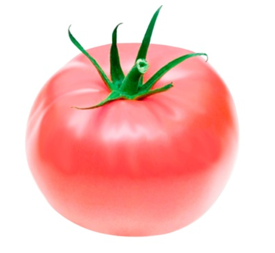 Tomato