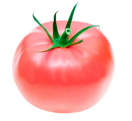 Tomato