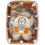 Oyster mushroom Persha hvilya 500g