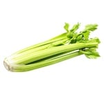 Celery stalk