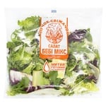 Salad Puchok-Svezhechok Baby mix with arugula 90g